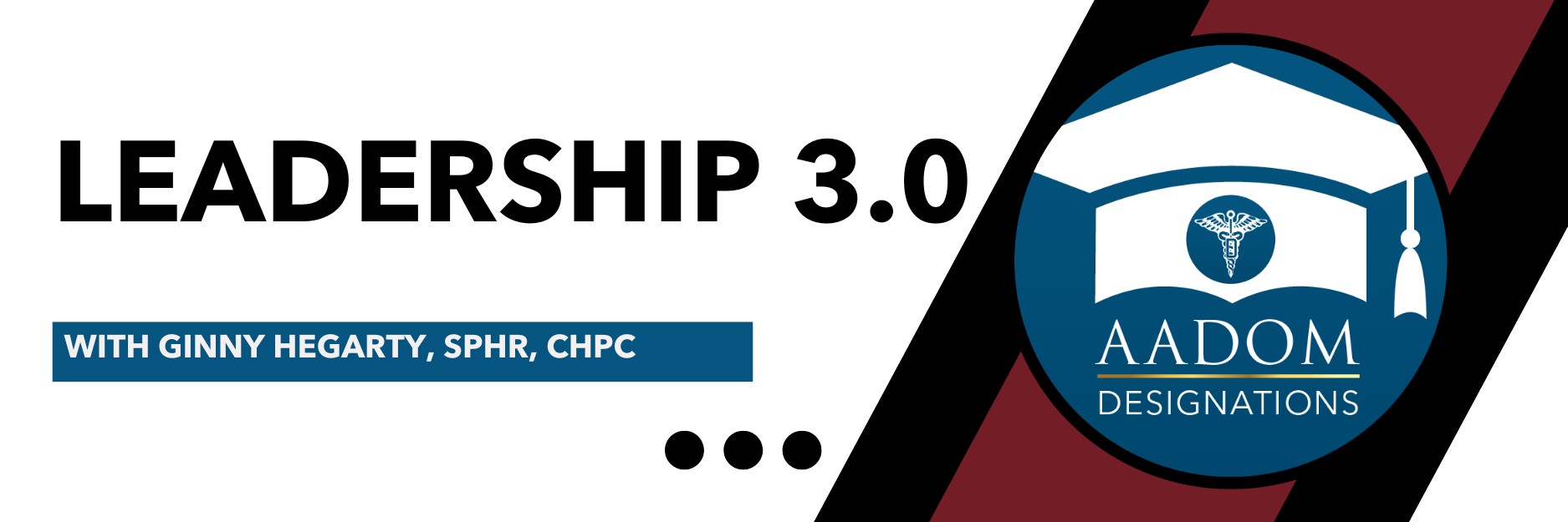 Leadership 3.0 - Next Level Leadership - Presented by Ginny Hegarty, SPHR, CHPC